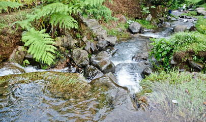 beautiful river view in tropical forest, Puncak, West Java, Indonesia