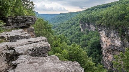 Panoramic view of a lush green valley seen from a rocky clifftop, featuring layered rock formations and dense forest