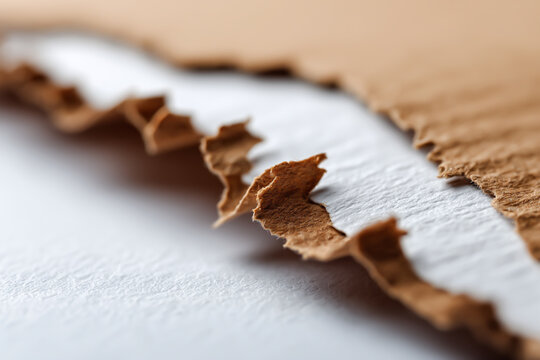 A ripped sheet of corrugated brown cardboard isolated on white, showing organic tear lines and raw material look, useful for presentations, textures, and banner designs.