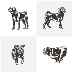 Pug Dog logo design vector. Silhouette Pug Dog Template Illustration. Icon Symbol
