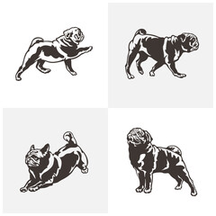 Pug Dog logo design vector. Silhouette Pug Dog Template Illustration. Icon Symbol