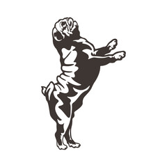 Pug Dog logo design vector. Silhouette Pug Dog Template Illustration. Icon Symbol