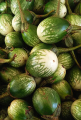 Close Up of Fresh Thai Eggplants