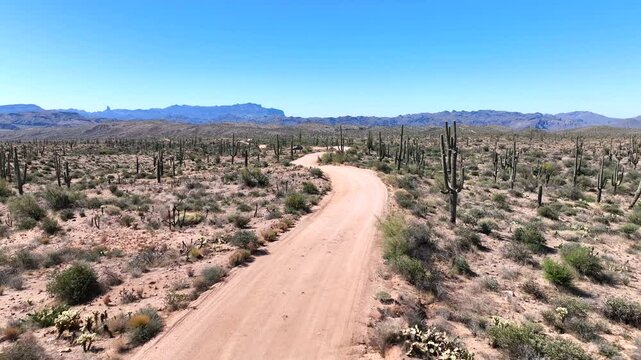 Aerial view of desert landscape with saguaros, United States.