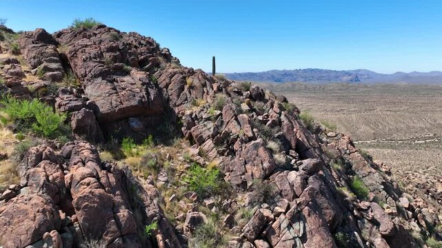 Aerial view of rugged mountains and cacti, United States.