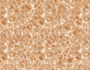 Mycelium Texture Background – Futuristic Bio Material Concept