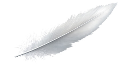 Obraz premium white feather on white background