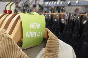 New clothing collection displayed in retail store