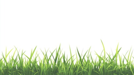 Fototapeta premium Close-up view of vibrant green grass blades against a bright white background