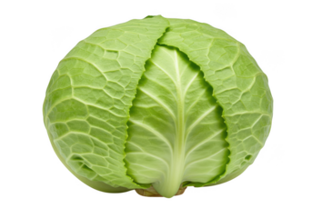 Fresh green cabbage head with textured leaves isolated on transparent background