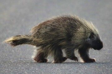Yukon Territories, Canada