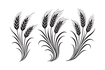 Ear of Wheat, Barley or Rye. Vector icon isolated on white background