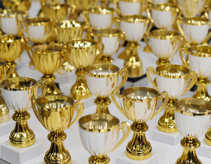 Trophy Collection Display – Award and Victory Concept