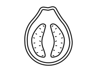 Guava icon. Fruits and vegetables outline icon. Simple vector illustration in modern thin line style.