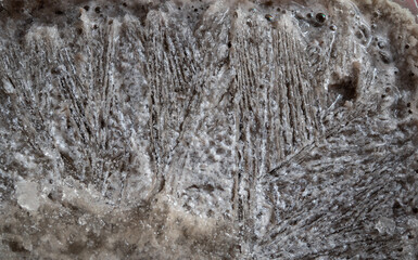 textura de hielo con fondo negro