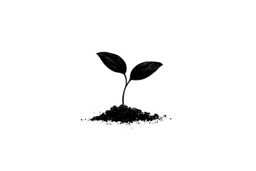 A small plant sprout growing from the earth.