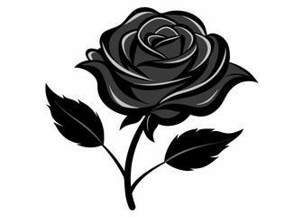 Black rose with leaves vector illustration on white background flower nature