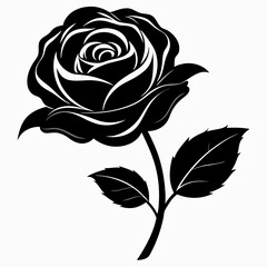 Black rose with leaves on white background vector illustration flower floral