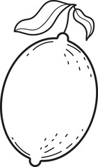 Hand-drawn Line Art Illustration of Lemon
