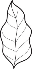 Hand-drawn Line Art Illustration of a Leaf Lemon