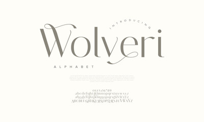 Sophisticated serif font with artistic swashes, perfect for creative branding projects