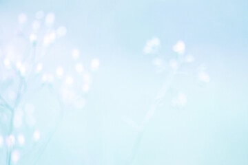 Beautiful blurred background nature in pastel colors with a soft focus of blue shades. fresh wallpaper concept, among green leaves and other blossom blur background.