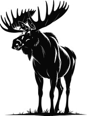 Majestic moose with large antlers standing in grass