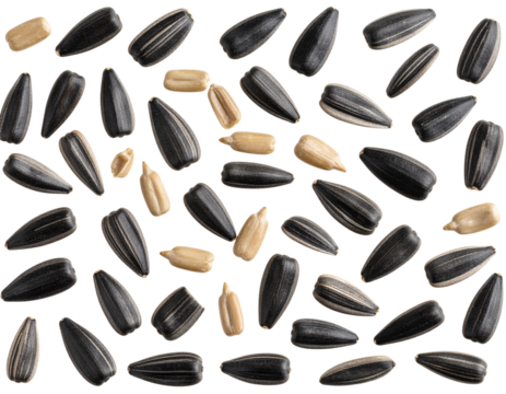 Peeled Sunflower Seeds Scattered Randomly, Top View, isolated on transparent background PNG