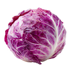 sour cabbage on transparent background