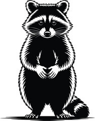 Black and white raccoon standing animal wildlife