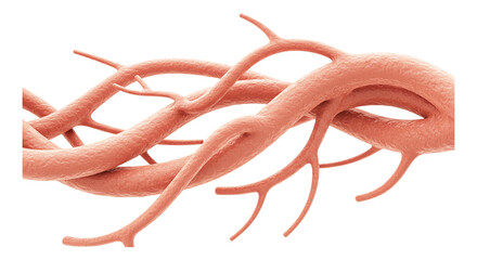 Arterial Pathways: A detailed depiction of a network of vital arteries, branching and interweaving to sustain life.