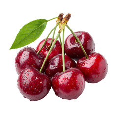sour cherry on transparent background