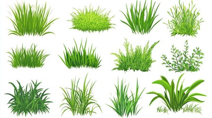 A collection of various digitally illustrated tufts and clumps of green grass