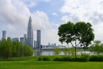 The Cityscape of Shenzhen, China