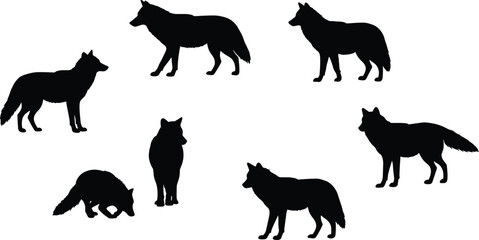 Wolf silhouette set, wild canine poses, coyote vector design, black animal shapes, forest predator illustration, standing sitting wolves collection