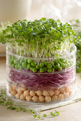 Layered Sprouted Seeds and Legumes in Glass Container, A Healthy and Nutritious Food Arrangement