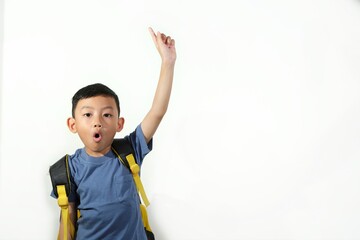 Young school boy pointing up with surprised facial expression. Captures curiosity, discovery and excitement about learning.