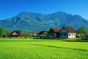 Fototapeta premium Rural houses surrounded by lush green fields and majestic mountains in bright sunlight, Quaint rural houses in lush green fields with mountain views under clear blue sky Scenic concept