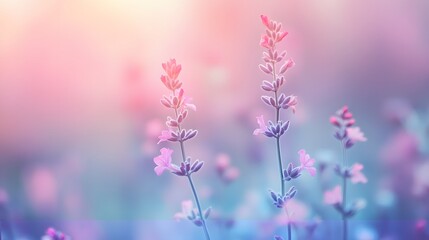 Naklejka premium Delicate wildflowers in a soft pastel color palette.