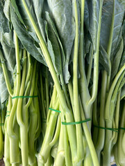 Fototapeta premium fresh green kale in the market