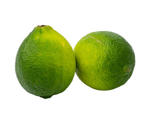 two fresh green limes isolated on white background.