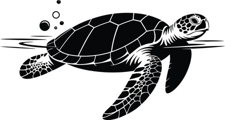 Sea turtle swimming with bubbles ocean marine life