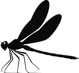 Black silhouette of a dragonfly insect white background