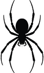 Black spider silhouette arachnid creepy