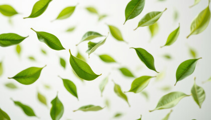 Green tea leaves floating in mid air with fresh vibrant green color and natural texture creating lively and refreshing atmosphere