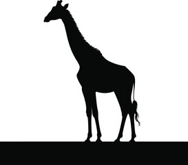 Tall giraffe silhouette standing on dark ground black