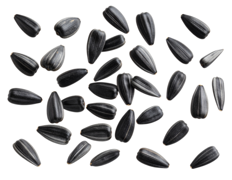  Falling Sunflower Seeds in Mid-Air, Isolated on Transparent Background PNG