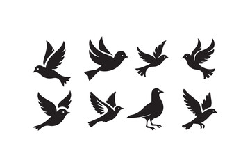 Vector Illustration of Various Birds in Flight.This set of black silhouettes showcases various birds in different flying positions.