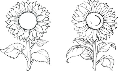 Hand drawn floral vector illustration with decorative flower design