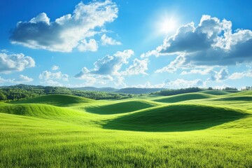 Obraz premium Serene green grass field under a bright blue sky with fluffy clouds on a sunny day, Landscape of green grass field with blue sky and small hills, Summer nature landscape background